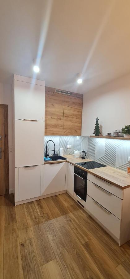 Apartament Mag Bielsko-Biala Exterior foto